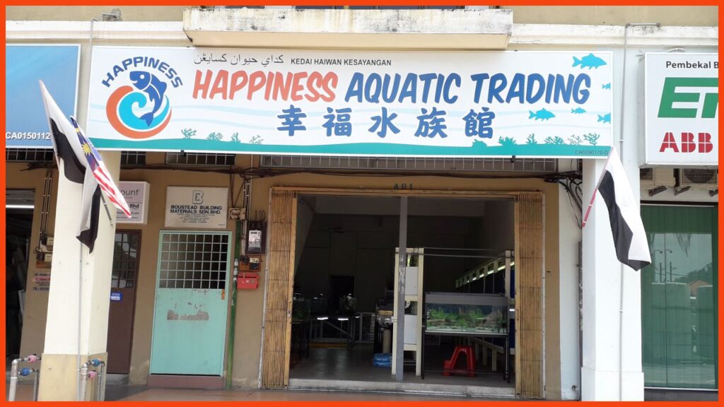 kedai aquarium kuantan happiness aquatic trading