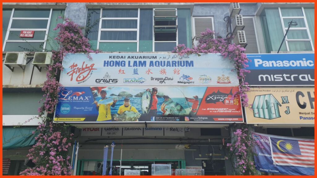 kedai aquarium kuantan hong lam aquarium (branch)