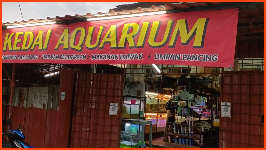 kedai aquarium