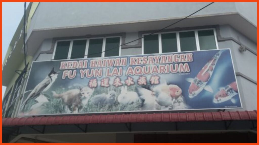 kedai aquarium ipoh fu yun lai aquarium