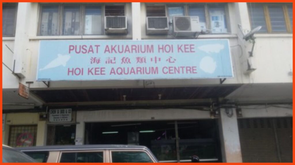 kedai aquarium ipoh pusat akuarium hoi kee