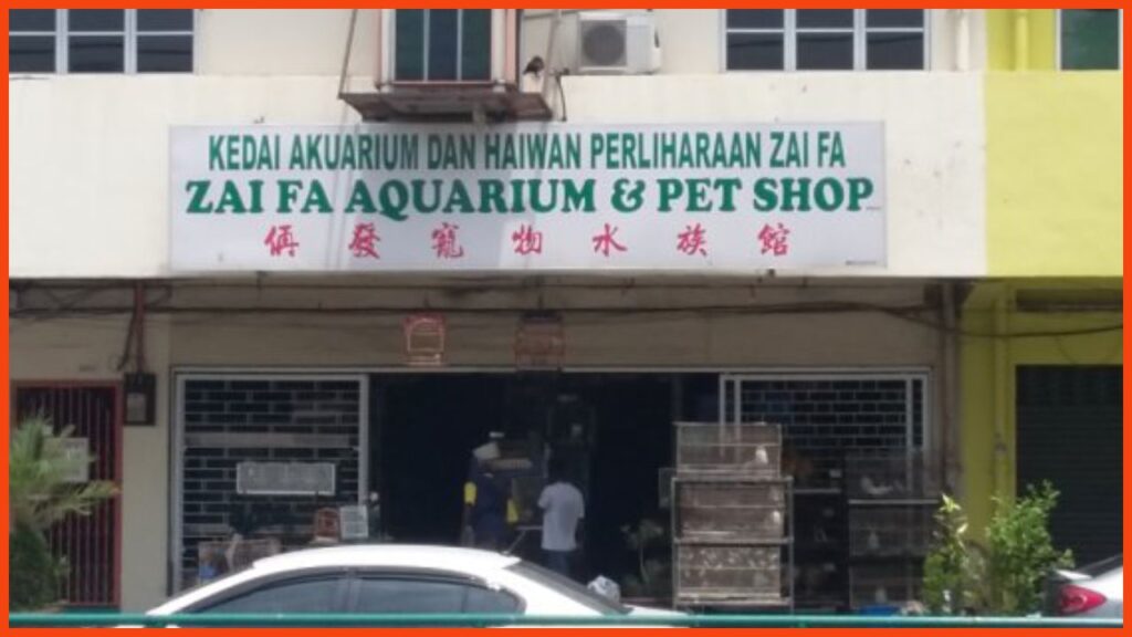 kedai aquarium ipoh zai fa aquarium & pet shop