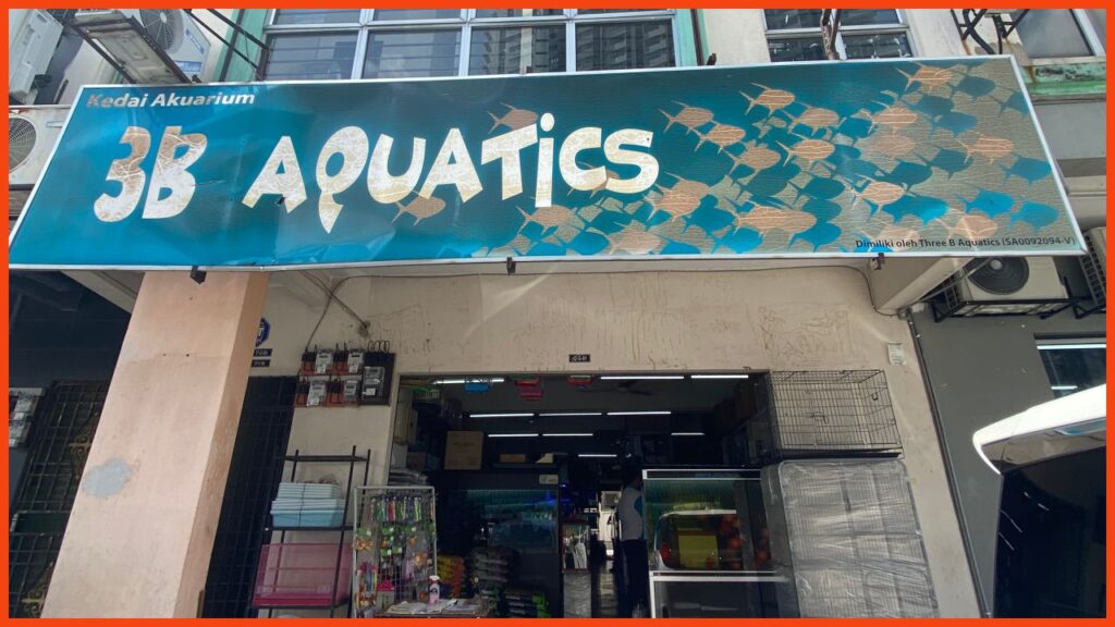 kedai aquarium kajang 3b aquatics aquarium shop bandar baru bangi