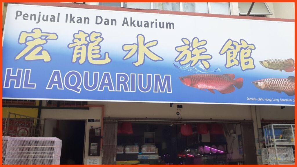 kedai aquarium klang hong long aquarium