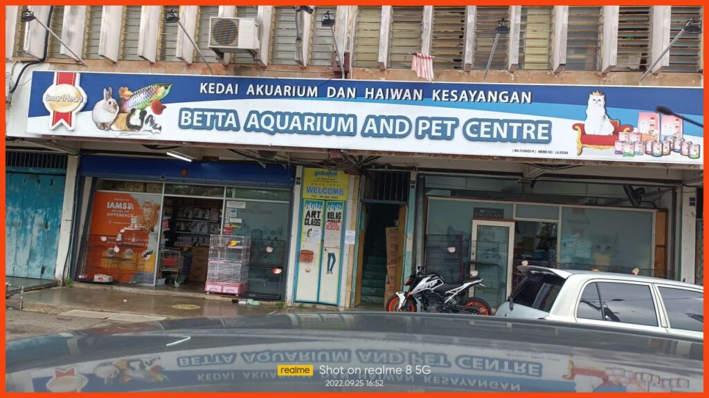 kedai aquarium melaka betta aquarium and pet center