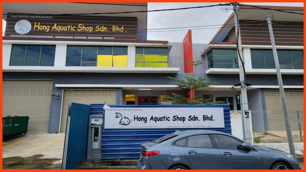 kedai aquarium melaka hong aquatic shop