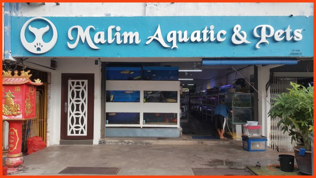 kedai aquarium melaka malim aquatic & pets