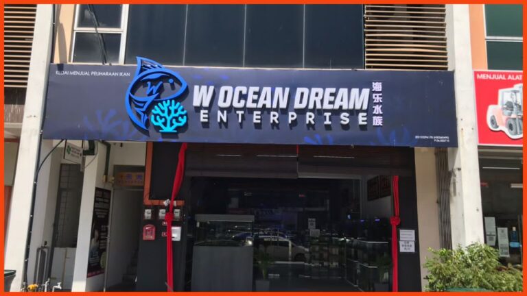 kedai aquarium melaka w ocean dream enterprise