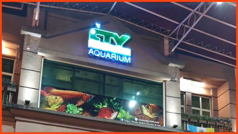 kedai aquarium penang chew thean yeang aquatic & pet