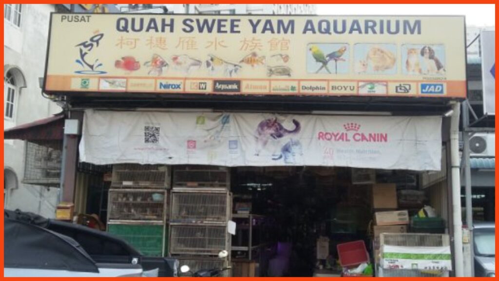 kedai aquarium penang quah swee yam aquarium & enterprise
