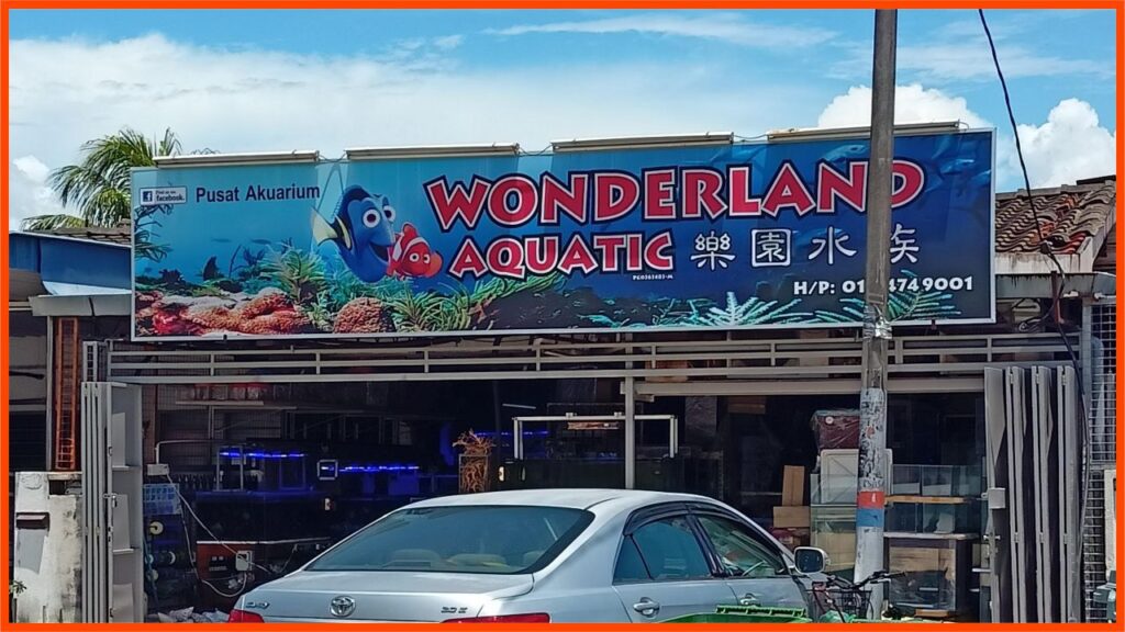 kedai aquarium penang wonderland aquatic