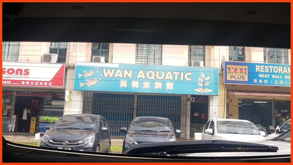 kedai aquarium shah alam wan aquatic