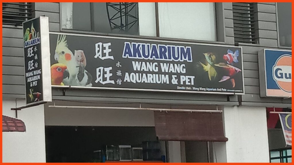 kedai aquarium shah alam wang wang aquarium & pets
