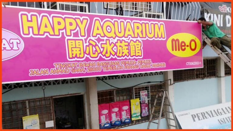 kedai aquarium temerloh happy aquarium